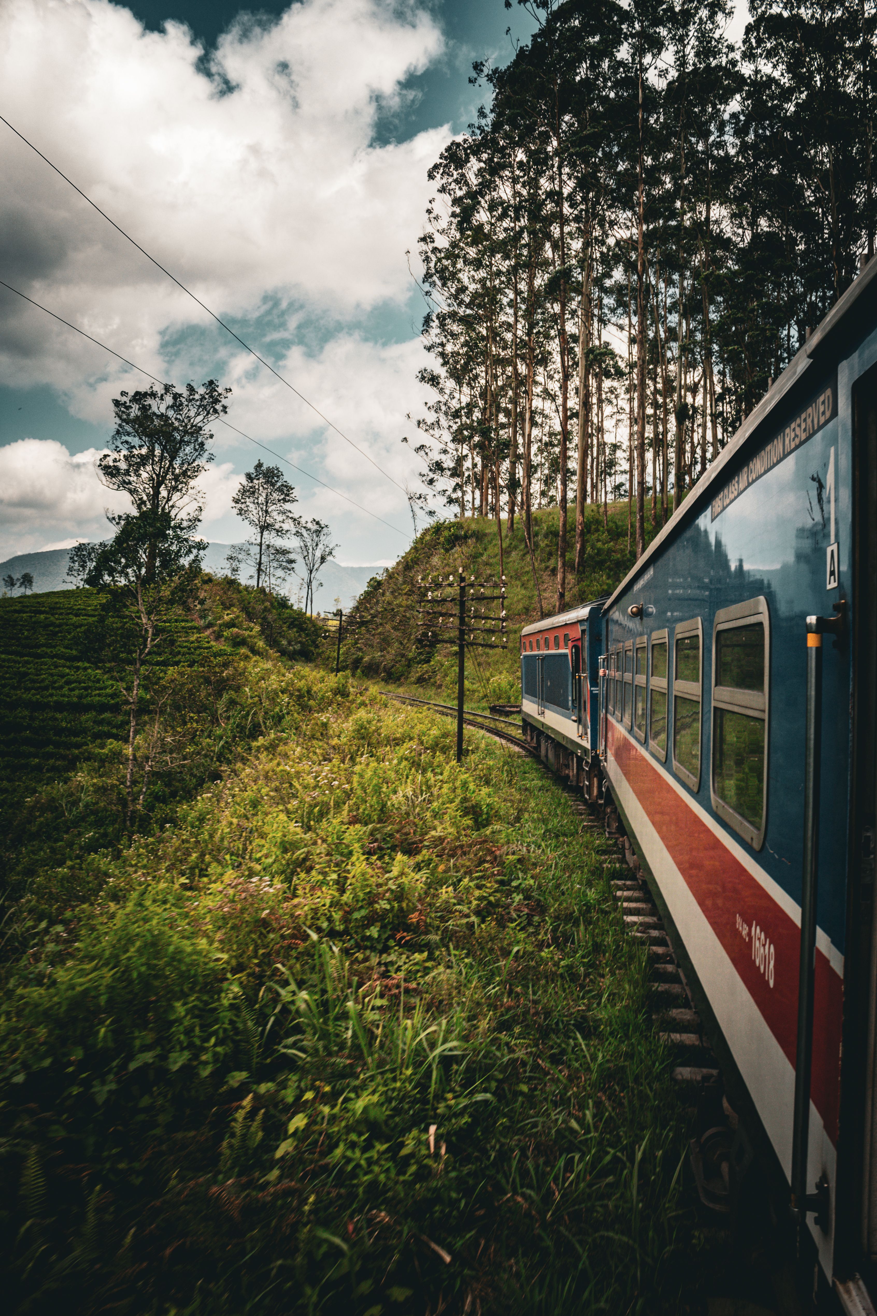 pexels lucasklein 34714747